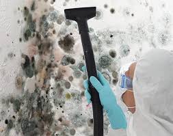 Best Mold Odor Removal Services  in Sconsin Rapids, WI